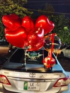 The Pink Dream Surprise