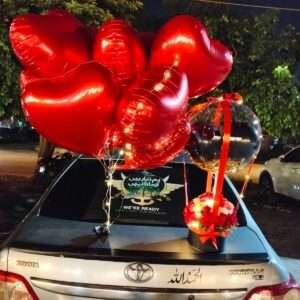 The Pink Dream Surprise