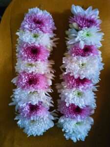 Pastel Bloom Chrysanthemum Gajra