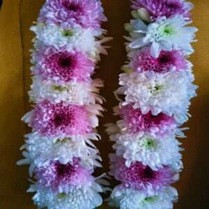 Pastel Bloom Chrysanthemum Gajra