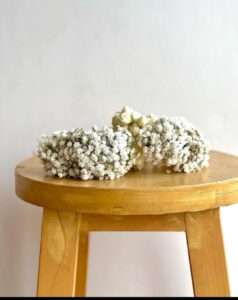 Snow Pearl Baby’s Breath Gajra