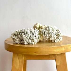 Snow Pearl Baby’s Breath Gajra