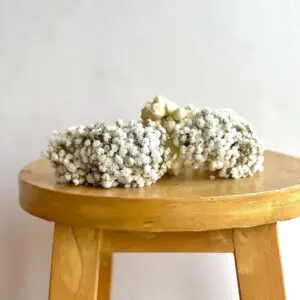 Snow Pearl Baby’s Breath Gajra