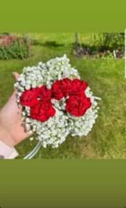 Red Rose & Baby’s Breath Gajra