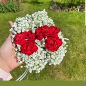 Red Rose & Baby’s Breath Gajra