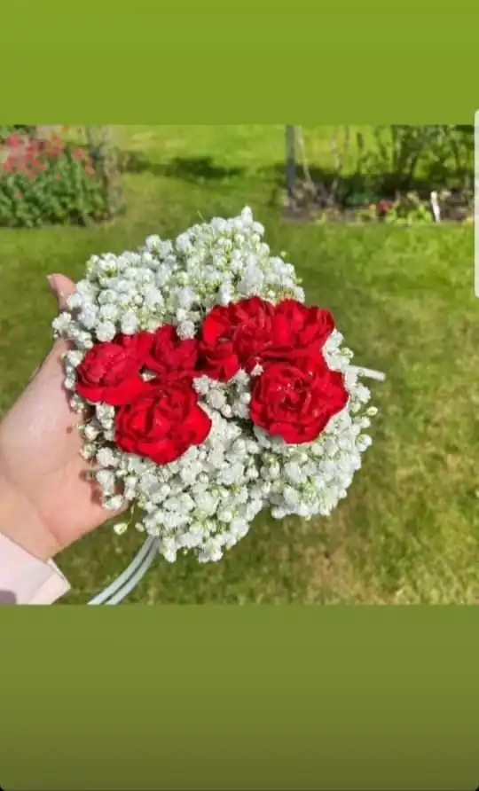 Red Rose & Baby’s Breath Gajra