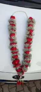 Royal Red Rose Bridal Haar