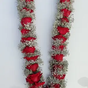 Royal Red Rose Bridal Haar