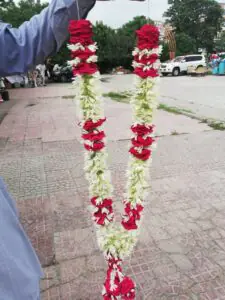 Red & White Rose Wedding Haar